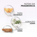 Kit Tratamento Capilar L'Oréal Paris Elseve Glycolic Gloss, Combate Porosidade, 5 Produtos para Brilho e Alinhamento